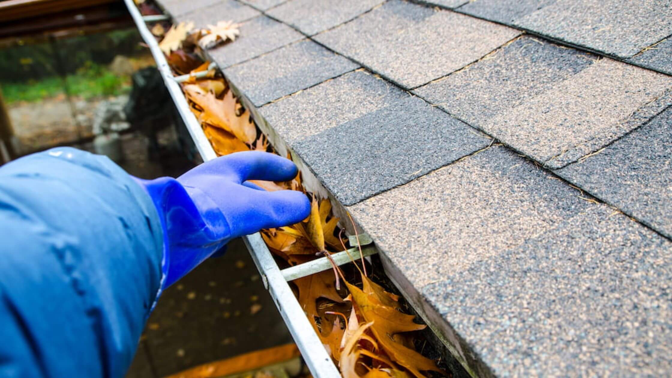 Clean Gutters for Lower Humidity